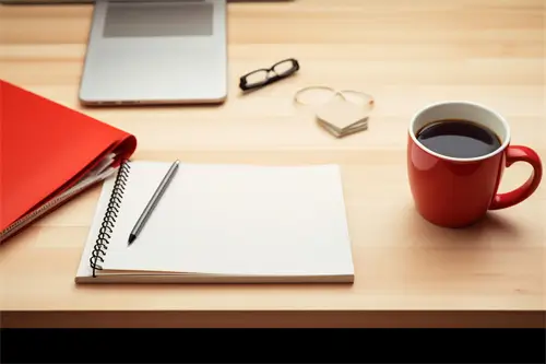 布偶熊含义是什么